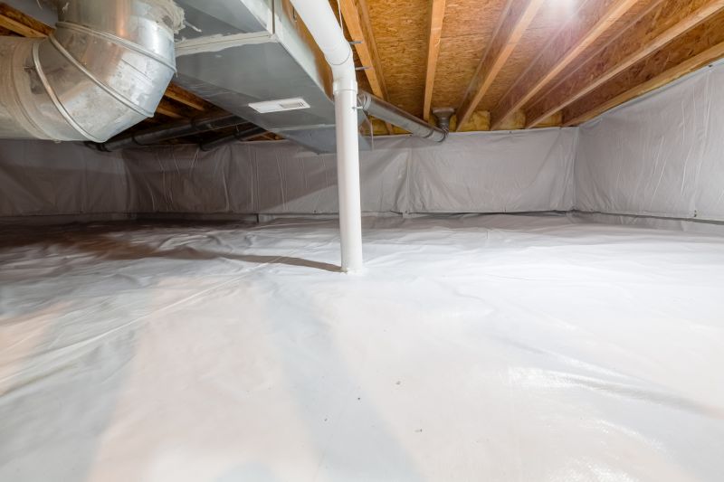 Crawl Space Service